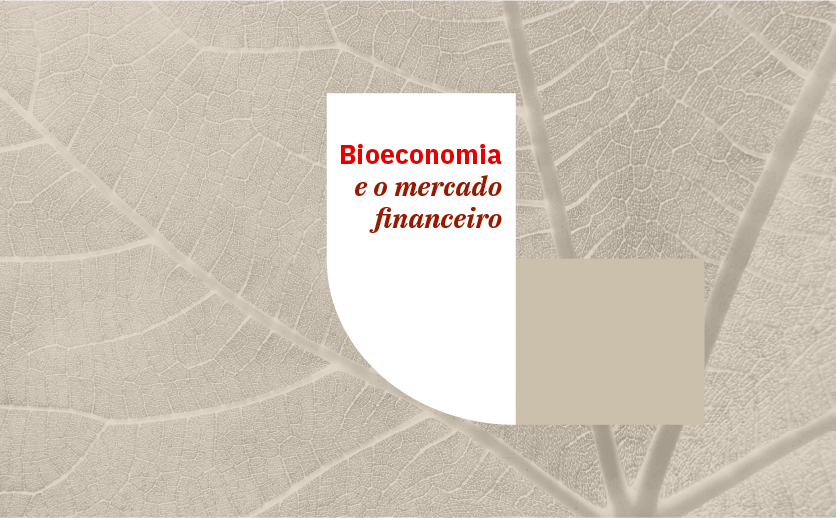 Imagem ilustrativo para o artigo sobre bioeconomia e mercado financeiro.