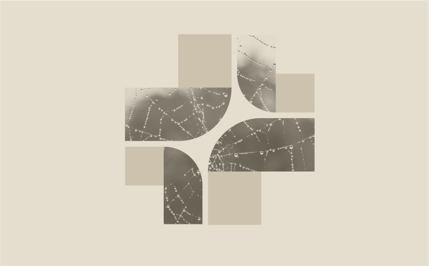 Imagem ilustrativa onde é possível visualizar recursos gráficos em tons de bege e teias de aranha.